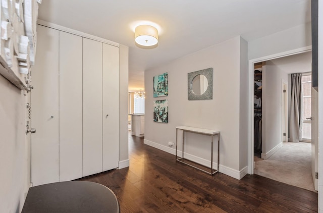 interior space featuring dark hardwood / wood-style floors