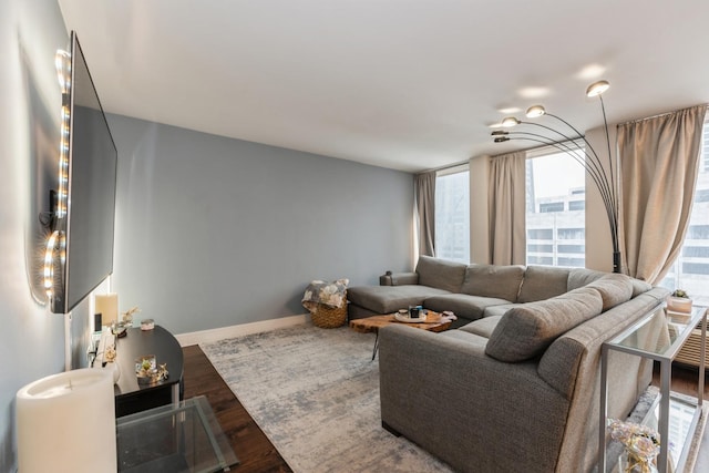 living room featuring hardwood / wood-style flooring