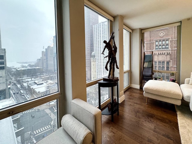 living area featuring dark hardwood / wood-style floors and a wealth of natural light