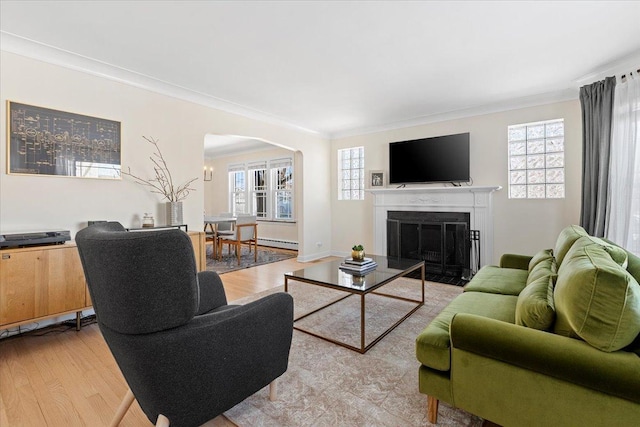 living room featuring a wealth of natural light and ornamental molding