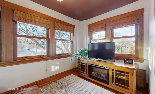 living room with a wealth of natural light