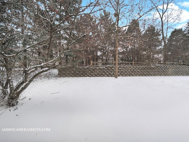 view of yard covered in snow