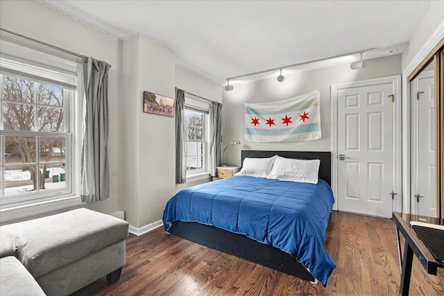 bedroom featuring track lighting, dark hardwood / wood-style floors, and multiple windows