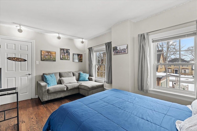 bedroom with dark hardwood / wood-style floors