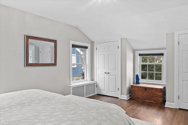 bedroom featuring lofted ceiling, radiator, and dark wood-type flooring