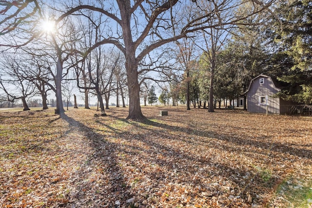 view of yard featuring an outdoor structure