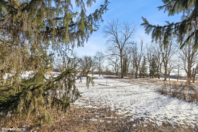 view of yard covered in snow