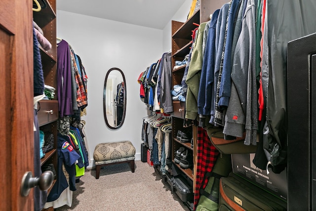 walk in closet featuring carpet floors