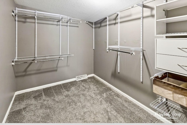 spacious closet featuring carpet