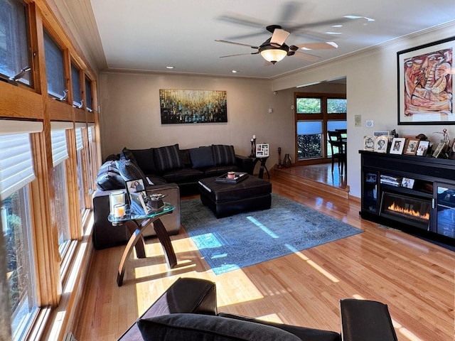 living room with crown molding, a healthy amount of sunlight, wood-type flooring, and ceiling fan