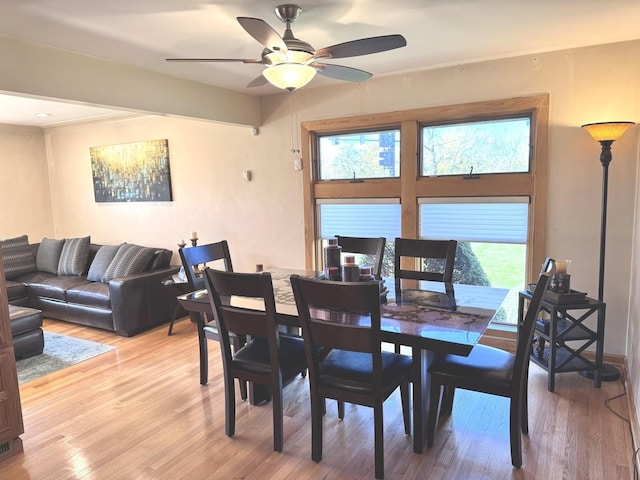 dining room with ceiling fan and hardwood / wood-style flooring