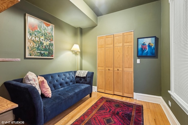 living room featuring wood-type flooring