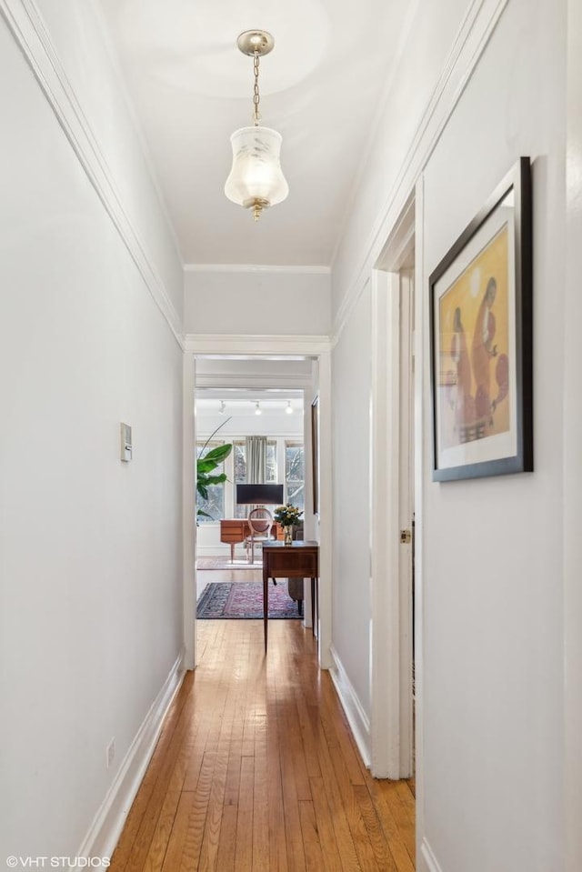 hall with hardwood / wood-style floors and crown molding