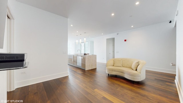 interior space featuring dark hardwood / wood-style flooring and sink