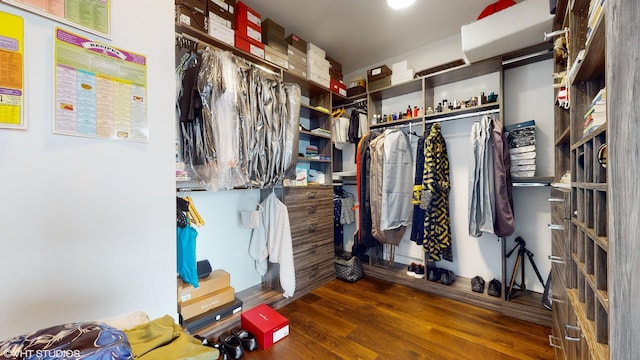 walk in closet featuring dark hardwood / wood-style flooring