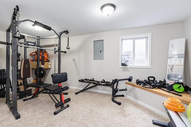 exercise area with electric panel and carpet floors