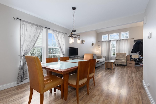 dining area with hardwood / wood-style flooring