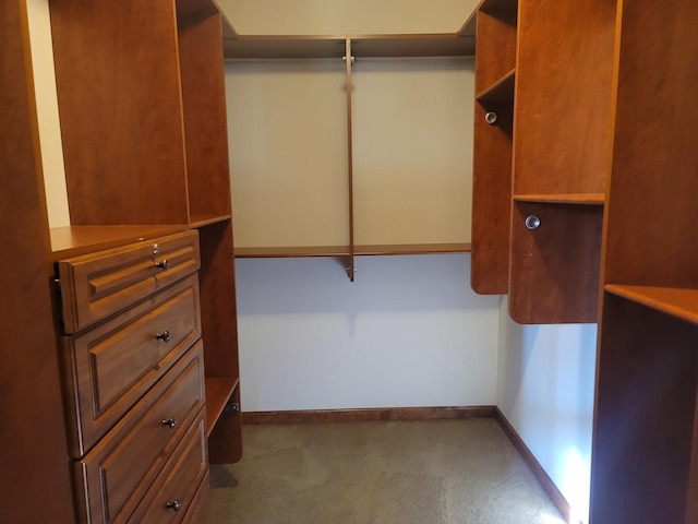 spacious closet featuring carpet floors