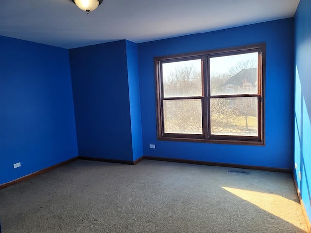 unfurnished room with carpet flooring