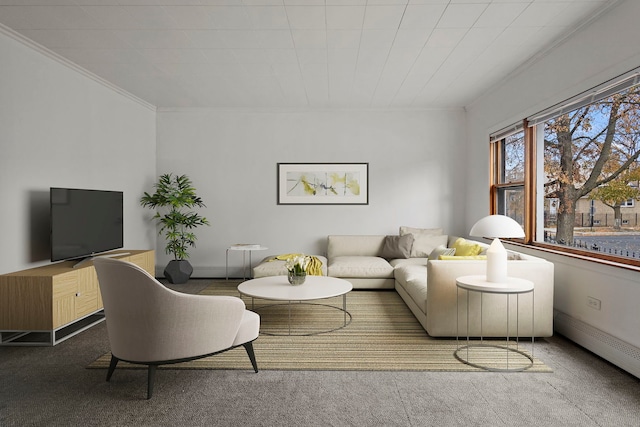 carpeted living room featuring crown molding