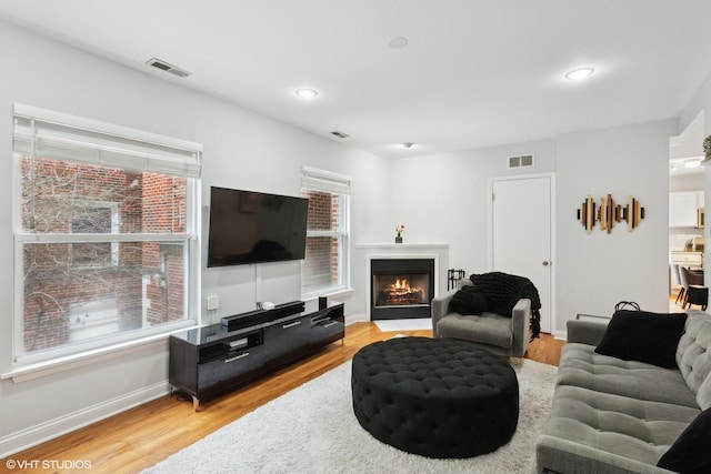 living room featuring light hardwood / wood-style floors