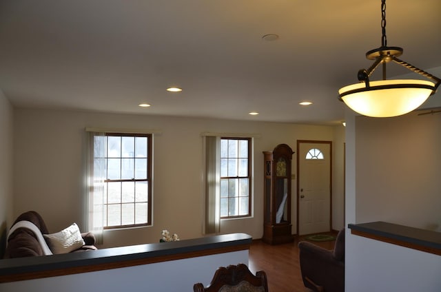 foyer featuring wood-type flooring