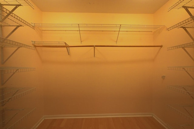 walk in closet with wood-type flooring