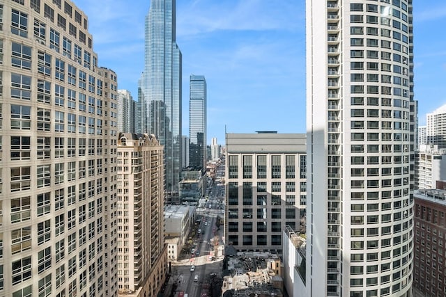 800 N Michigan Ave Unit 2202, Chicago, IL 60611 - photo 8