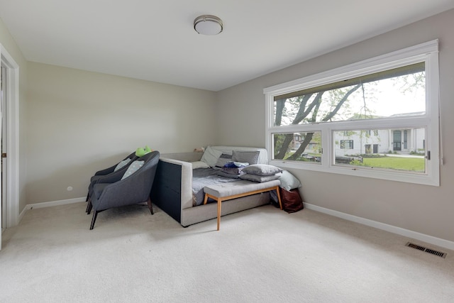 bedroom featuring carpet floors