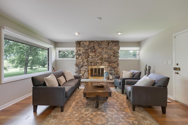 living room featuring a fireplace and wood-type flooring