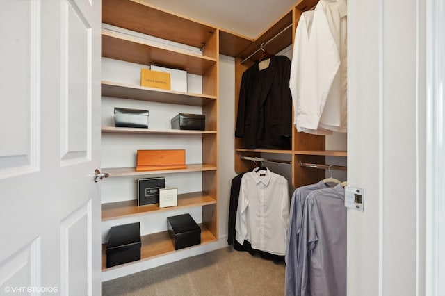 spacious closet featuring light colored carpet