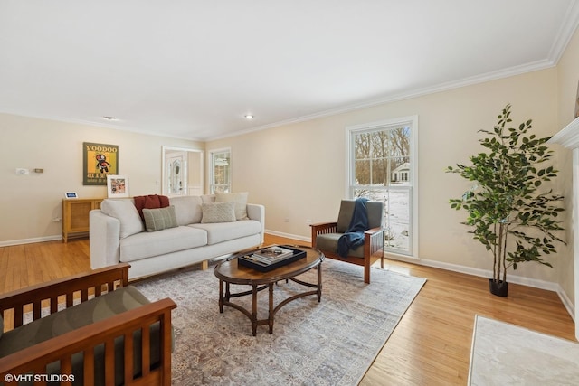 living room featuring crown molding and light hardwood / wood-style floors