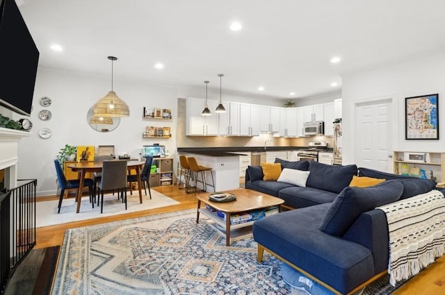 living room with light wood-type flooring