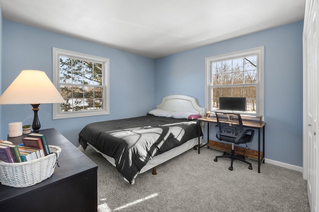 carpeted bedroom featuring multiple windows and a closet