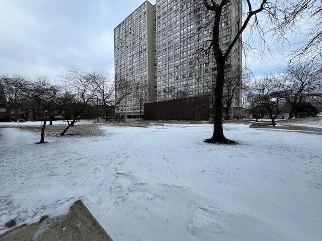 view of snowy yard