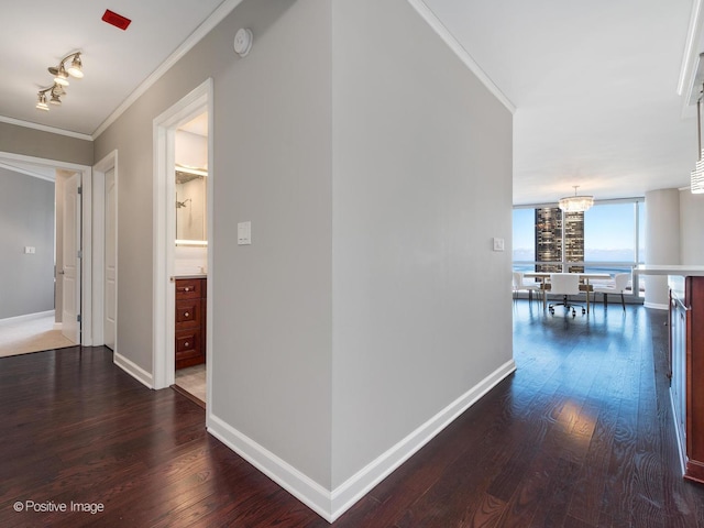 hallway with a chandelier, crown molding, and dark hardwood / wood-style flooring