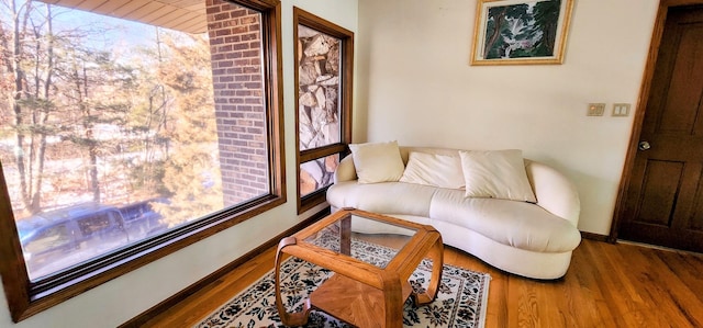 living room with hardwood / wood-style floors and a healthy amount of sunlight