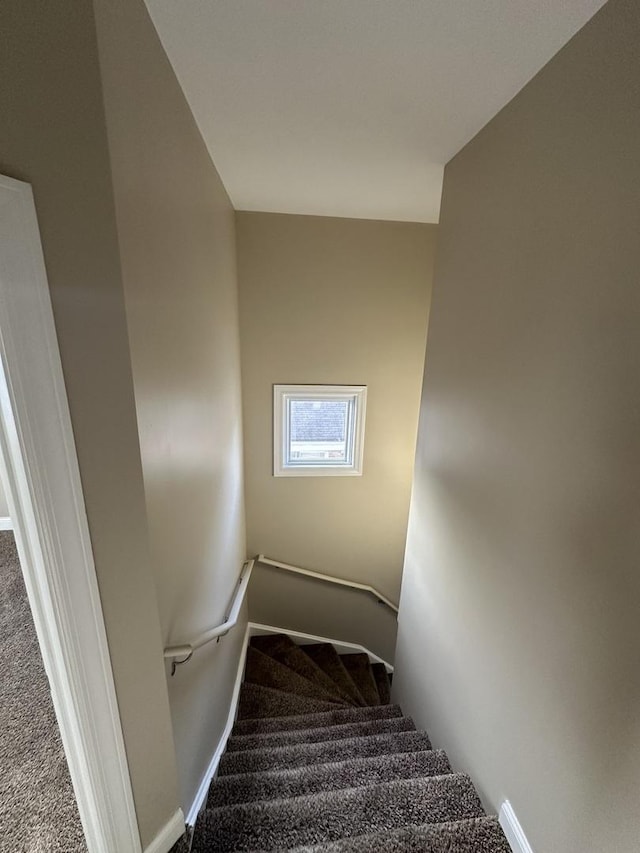 staircase featuring carpet flooring