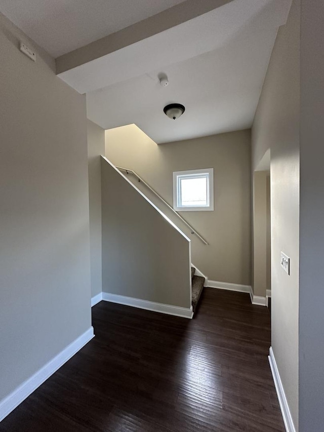 staircase with hardwood / wood-style flooring