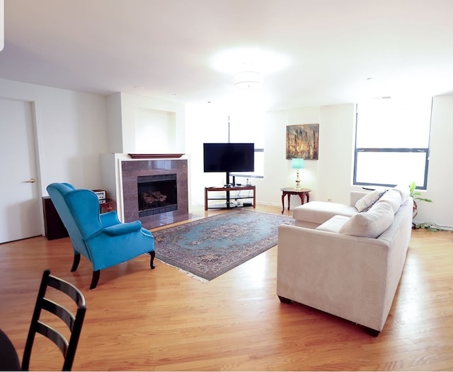 living area featuring a fireplace and light wood-style floors