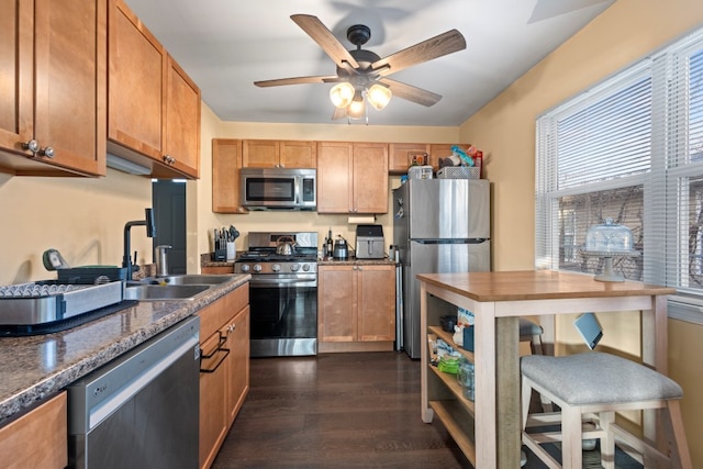 kitchen featuring dark wood-type flooring, ceiling fan, stainless steel appliances, and sink