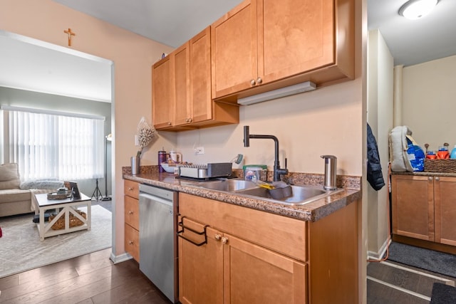 kitchen with stainless steel dishwasher, dark hardwood / wood-style floors, and sink