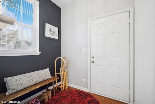 foyer with dark hardwood / wood-style flooring