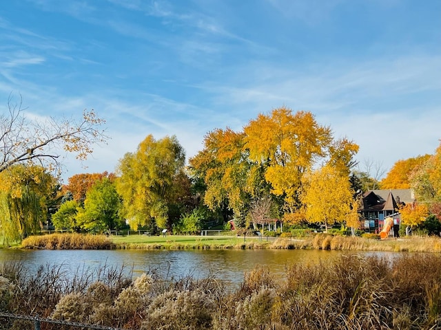 property view of water