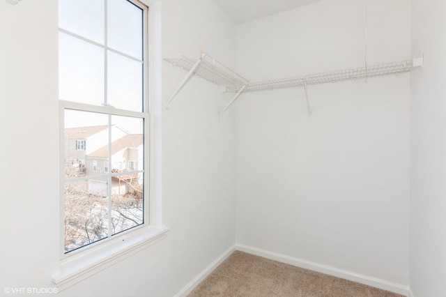 walk in closet with light colored carpet