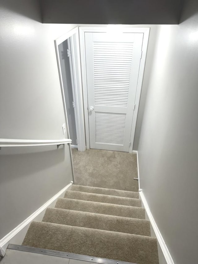 stairway featuring carpet flooring