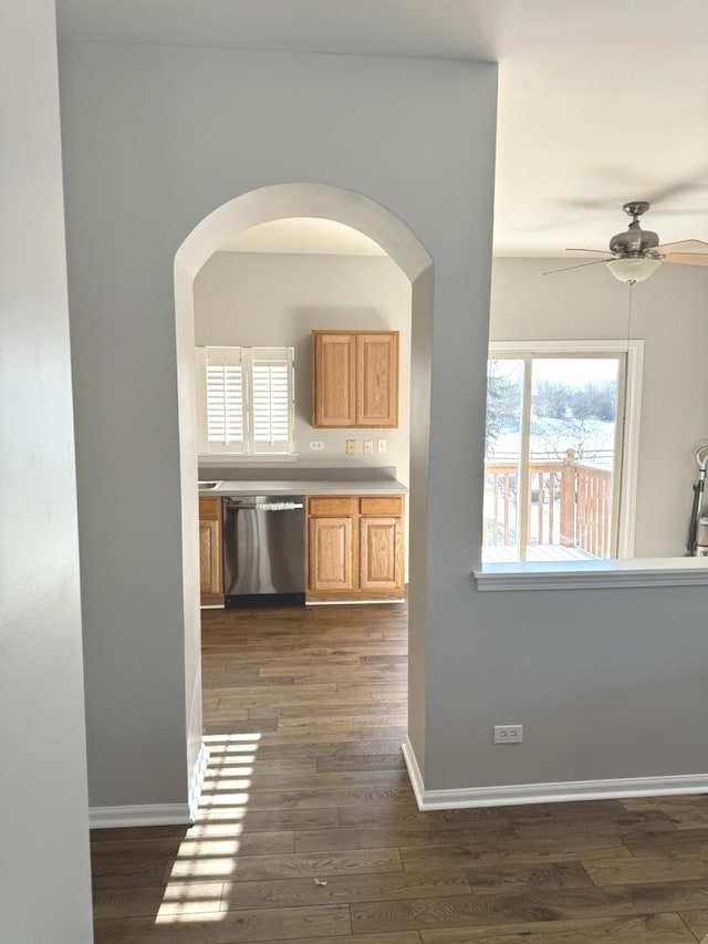 kitchen with ceiling fan, stainless steel dishwasher, and dark hardwood / wood-style flooring