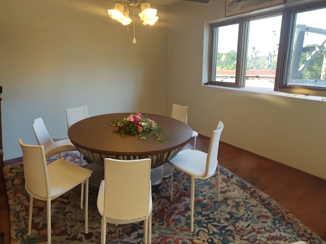 dining room with dark hardwood / wood-style floors