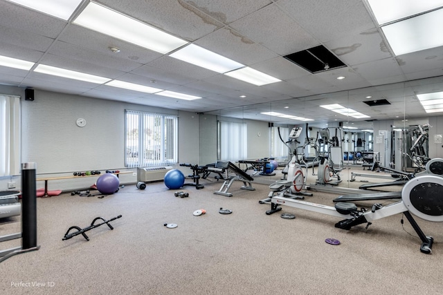 workout area featuring a drop ceiling and carpet floors