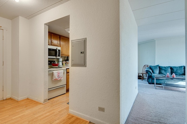 hall with electric panel and light hardwood / wood-style floors